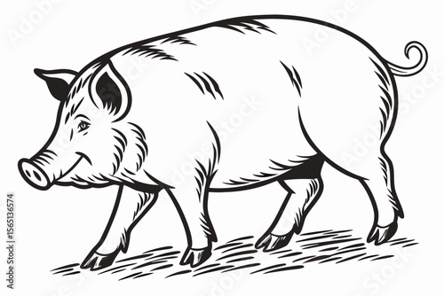 coloring page lineart the pig black vector