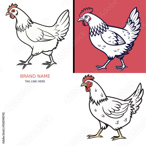 set of chicken