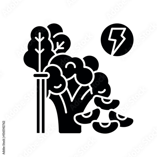 Phytonutrients black flat icon for digital and print projects.