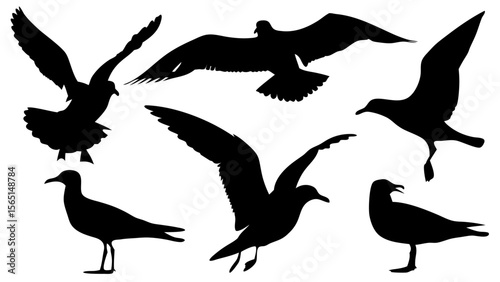 Set of seagull silhouettes in various flying and resting poses, black vector shapes, isolated on white background, minimal and clean style, flat design, suitable for icons and graphic elements