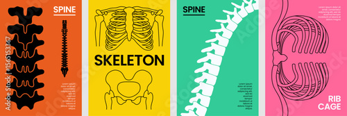 Anatomical poster collection featuring spine, skeleton, and rib cage with vibrant color backgrounds and bold line art for educational.