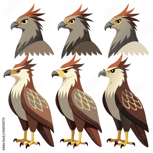 Stylized Harpy Eagle Variations A Collection of Six Different Renderings Featuring Brown White and Grey Plumage Each Displaying Unique Eye Colors and Subtle Variations in