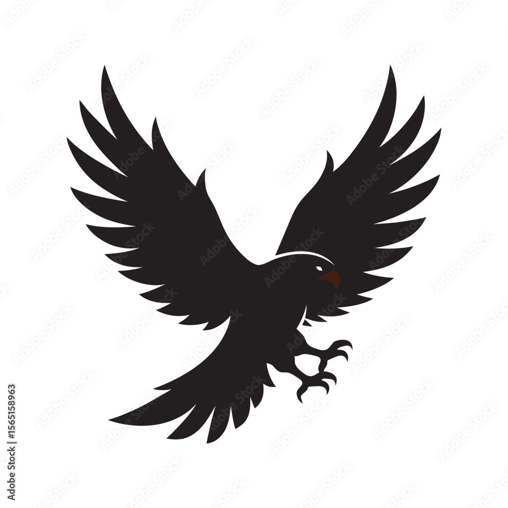 Obraz premium Tail Feathers Fanned Bald Eagle Shape