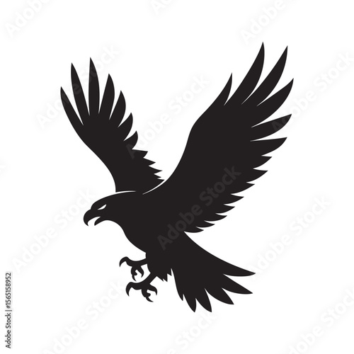 Bald Eagle Displaying Spread Tail Feathers