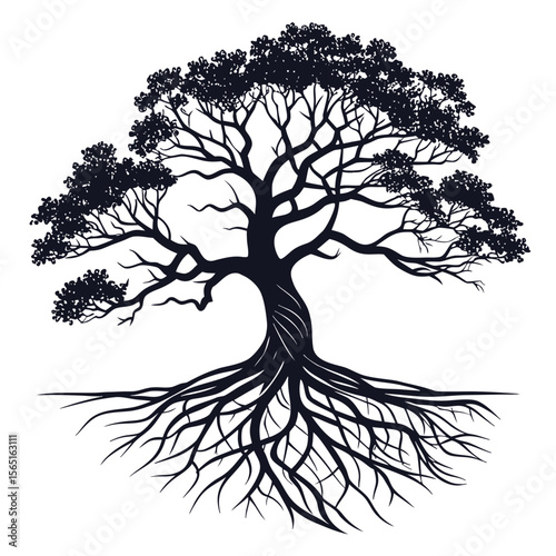 Detailed silhouette of a majestic tree with intricate branches and exposed roots on a white background
