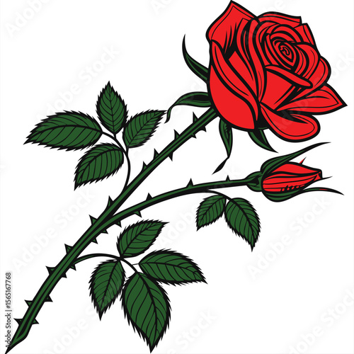 A detailed, graphic illustration of a red rose and a bud on a stem with thorns and leaves.