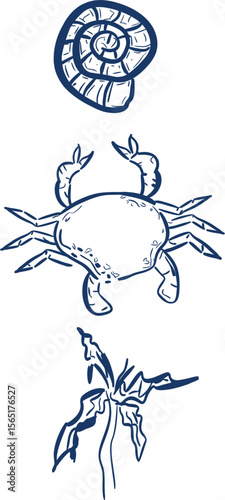 Krab – ilustracja wektorowa