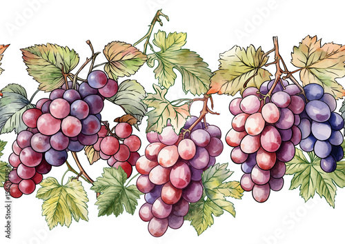 Seamless vector pattern with ripe grape bunches, leaves, and vines. Hand-drawn watercolor style. Ideal for wine labels, textiles, wallpapers, and packaging. Elegant, botanical, and vintage-inspired.