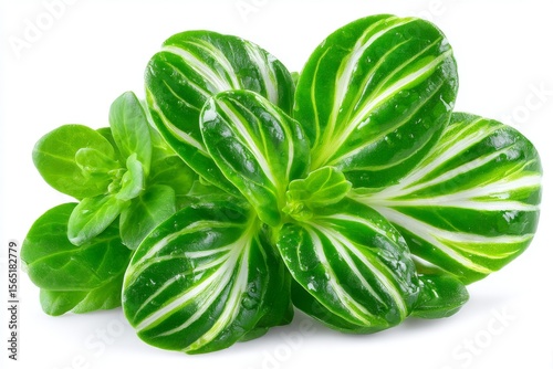 From above, a plastic box is seen containing microgreen sprouts of green pea, set against a plain white background