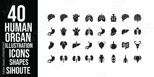 Collection of black and white anatomical icons representing human organs and body parts in a grid