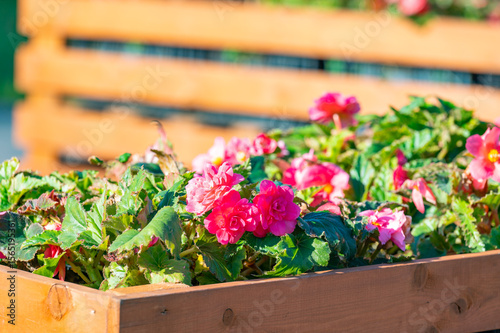 Wooden box with pink flowers in it