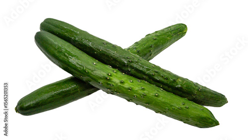 きゅうり3本（背景透過・フレッシュ野菜素材）