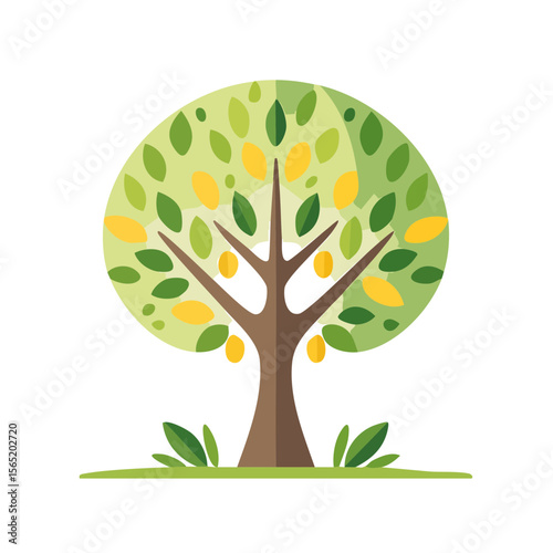 Olive Tree Isolated on a Transparent Background 