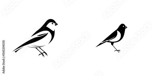 Silhouette pictograms of birds in black and white showcasing different postures and characteristics