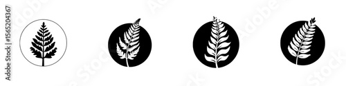 Silhouette pictograms of various ferns in circular designs showcasing nature's diversity and beauty in botanical illustrations