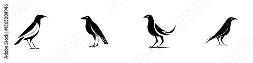 Silhouette pictograms of various bird species, illustrating distinct postures and characteristics in a simple vector style