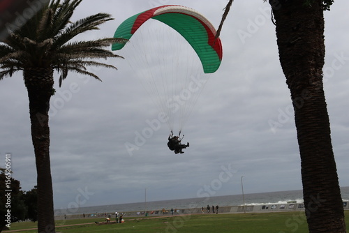 Colorful Parasails Flying Above the Ocean on a Sunny Coastal Day