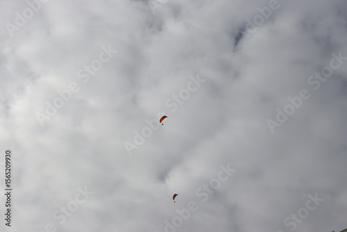 Colorful Parasails Flying Above the Ocean on a Sunny Coastal Day