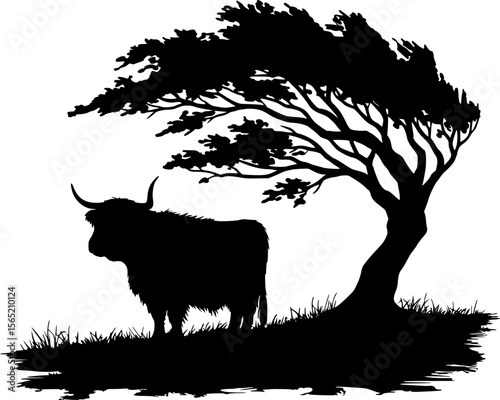 A shaggy highland cow standing peacefully under a windswept tree on a tranquil grassy hill serene countryside landscape creating timeless rural scene