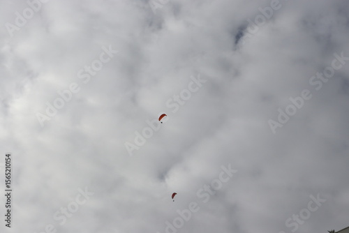 Colorful Parasails Flying Above the Ocean on a Sunny Coastal Day