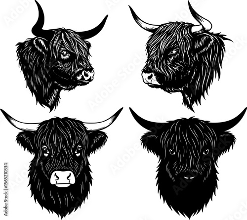 Highland cattle head portraits with long shaggy hair showing different angles and expressions in black silhouette for design elements set