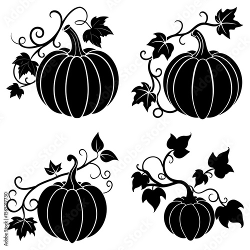 Four pumpkins with vines and leaves in black silhouette on a white background illustration design