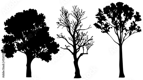 Silhouette tree line drawing set in side view. Collection of black tree outlines with various natural shapes, isolated on white background. Ideal for landscape, nature, and outdoor design.