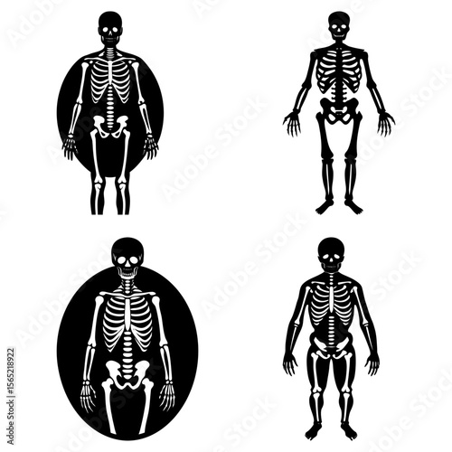 Four black and white skeleton figures with varying body types and oval backgrounds displayed together