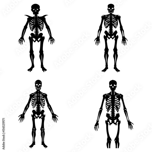 Four black skeleton figures with varying poses and bone structures on a white background display art