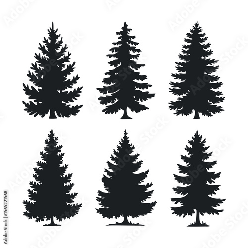 Various Evergreen and Deciduous Tree Silhouettes , deciduous tree vector