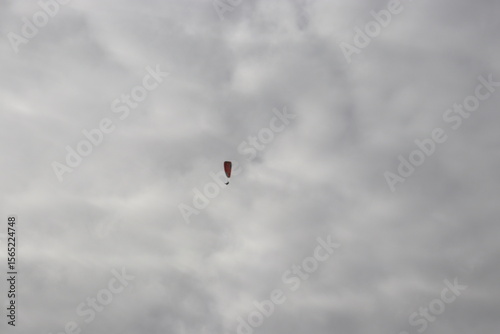 Colorful Parasails Flying Above the Ocean on a Sunny Coastal Day