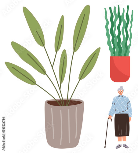 Elderly woman holding a cane stands near leafy potted plant and a wall-mounted planter. Ideal for wellness, aging gracefully, indoor decor, nature, gardening, health, lifestyle. Simple flat metaphor