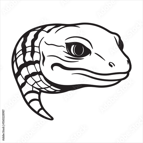 Desert Dragon: The Bold and Venomous Gila Monster