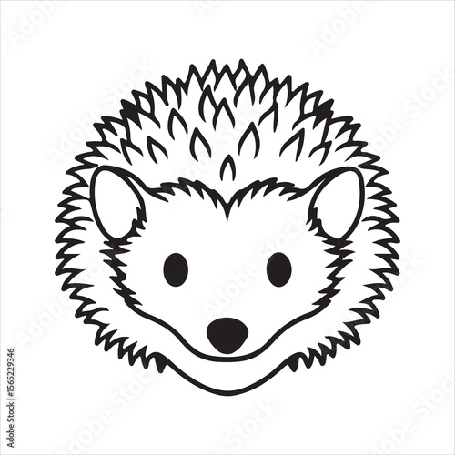 Spines and Whiskers: The Curious Life of the Hedgehog