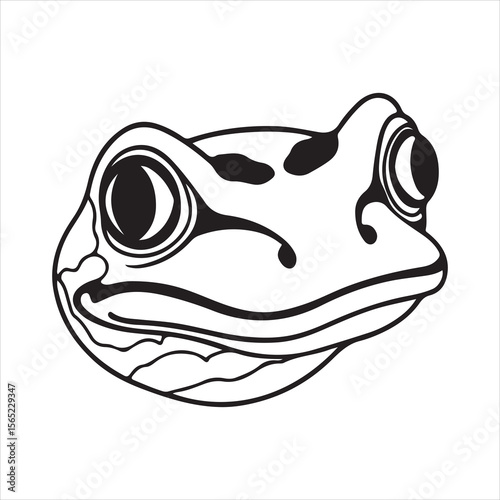 Jumping Jewels: The Dazzling World of the Harlequin Frog