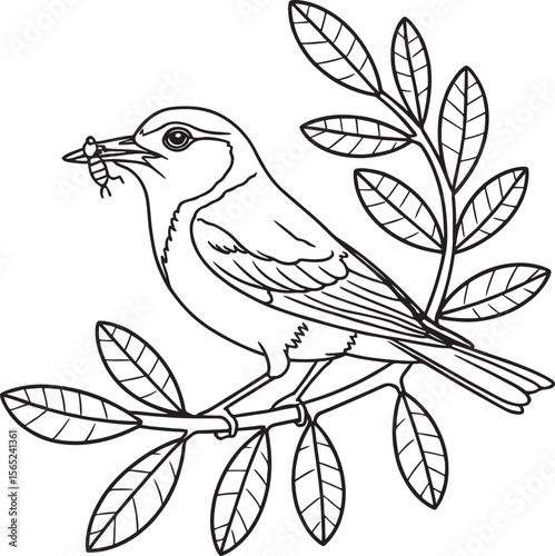 Spring Coloring Pages
