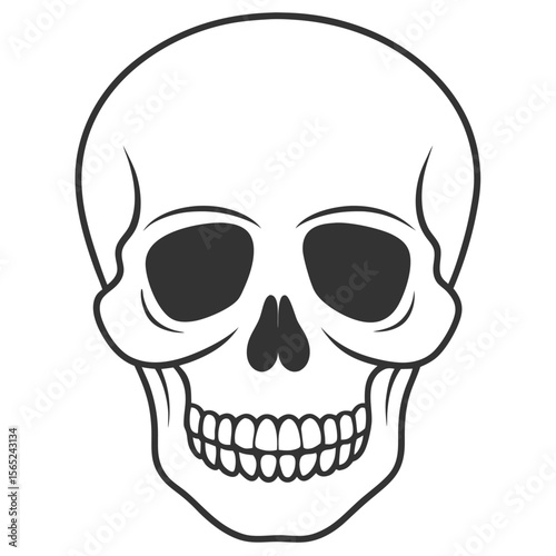 vintage human skull vector art