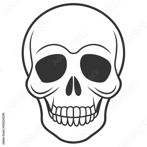 vintage human skull vector art