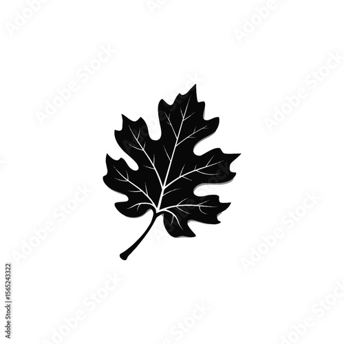 Autumn leaf silhouette vector