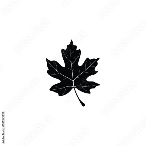 Autumn leaf silhouette vector