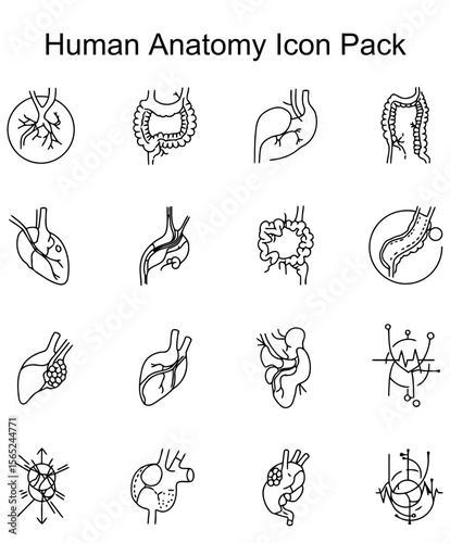 Human Anatomy Icon Pack