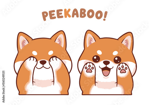 Adorable Shiba Inu Dogs Playing Peekaboo with Cute Expressions.