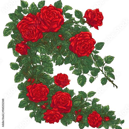 Red roses bouquet on white, a seamless floral pattern illustration