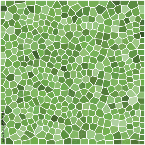 Abstract green mosaic pattern with irregular, cell-like shapes outlined in white, creating a stained glass texture effect.

