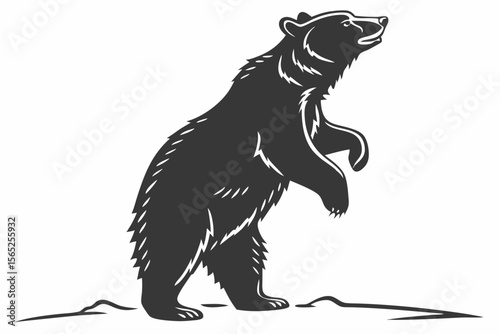 bear sihouette black vector