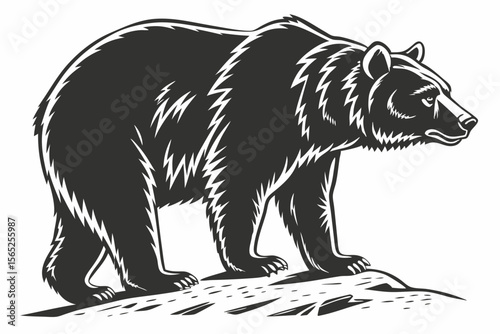 bear sihouette black vector