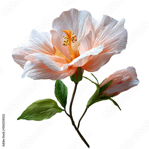 Peach hibiscus flower with buds, paper craft.