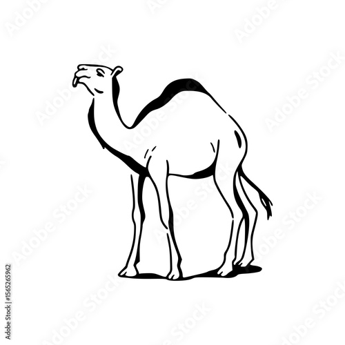 desert camel clipart
