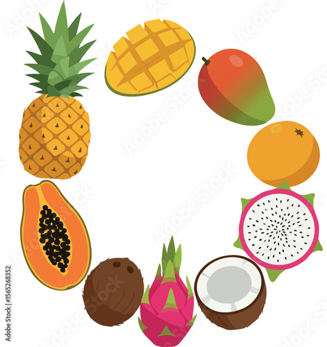 Tropical fruits circle illustration with pineapple mango coconut and dragon fruit vector 