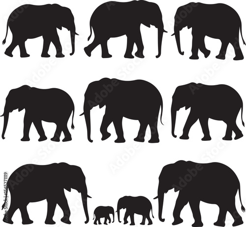 elephant, animal, vector, silhouette, illustration, animals, wildlife, wild, mammal, zoo, safari, nature, black, collection, design, elephants, tusk, trunk, pattern, bear, big, art, set, outline, symb